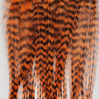 grizzly burnt orange