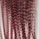 metz-bugger-bunch_GRCL