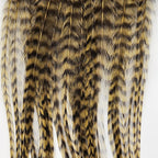 grizzly olive