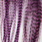 grizzly purple