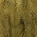 hackle-crab-shrimp-pack_OLIV