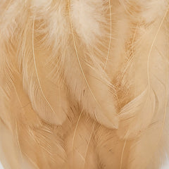 hackle-crab-shrimp-pack_TTAN