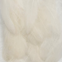 hackle-crab-shrimp-pack_WHIT