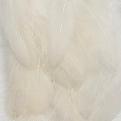 hackle-crab-shrimp-pack_WHIT