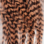 grizzly brown