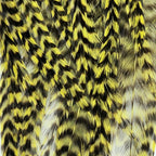 grizzly chartreuse