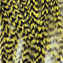 hackle-deceiver-streamer-pack_GRCH