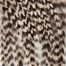 hackle-deceiver-streamer-pack_GRIZ