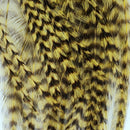 hackle-deceiver-streamer-pack_GROL