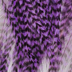 grizzly purple