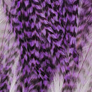 hackle-deceiver-streamer-pack_GRPU