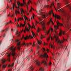 grizzly red