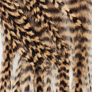 hackle-deceiver-streamer-pack_GRTN