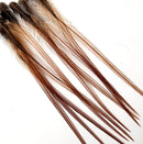 hackle-select-single-pack_BR12