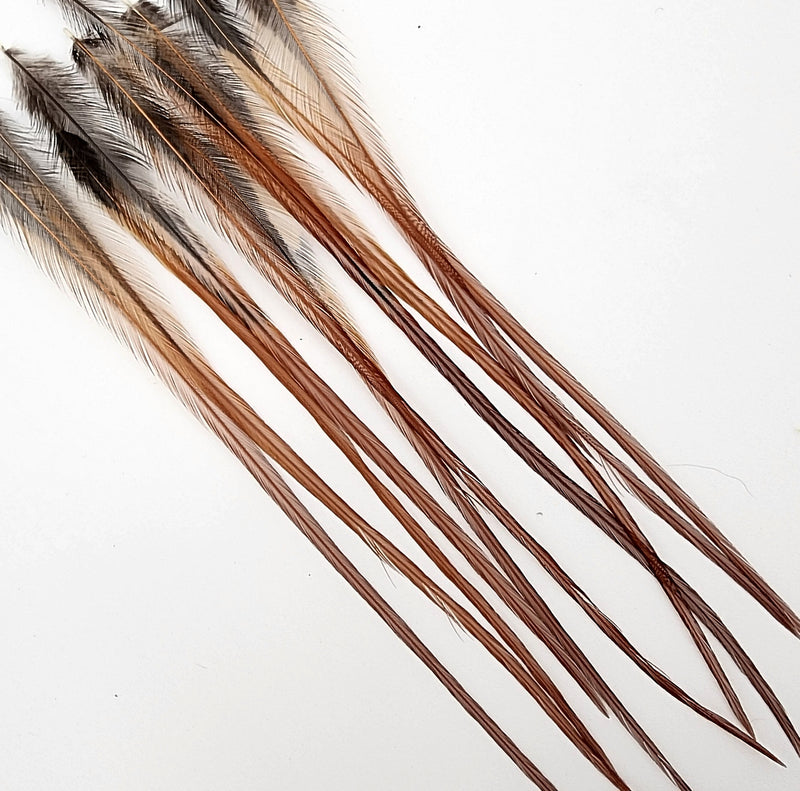 hackle-select-single-pack_BR14