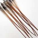 hackle-select-single-pack_BR14