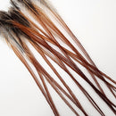 hackle-select-single-pack_BR18