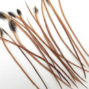 hackle-select-single-pack_BR22