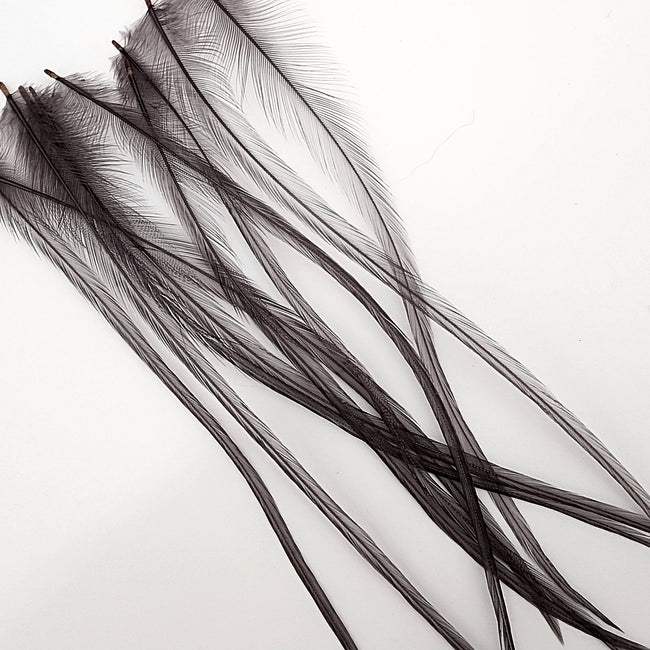 Hackle Select Single Pack