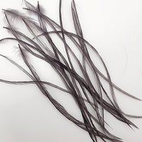 hackle-select-single-pack_DN18