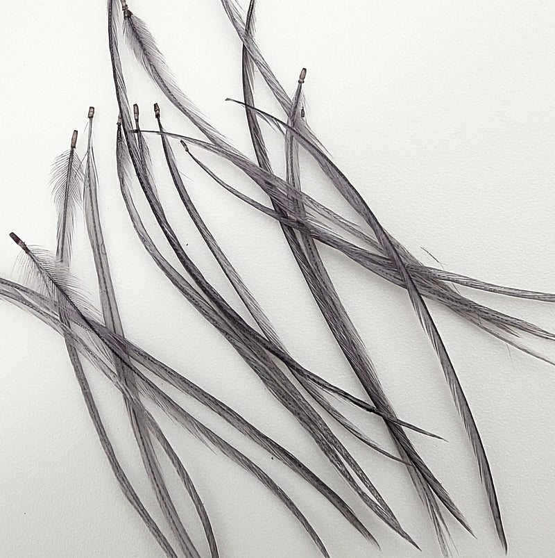 hackle-select-single-pack_DN22