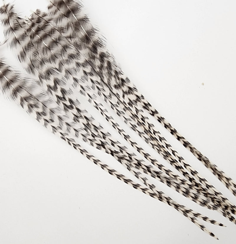 hackle-select-single-pack_GR14