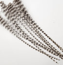 hackle-select-single-pack_GR14