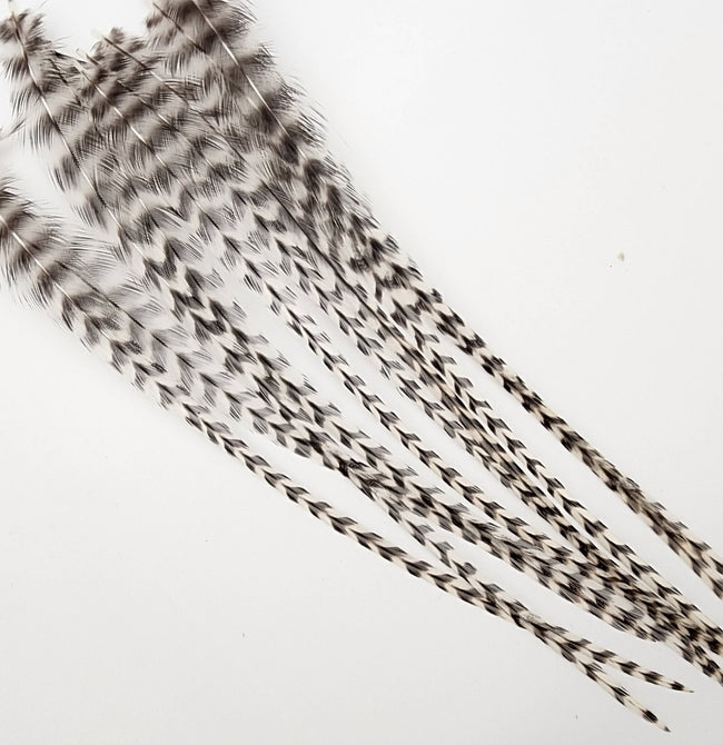 Hackle Select Single Pack
