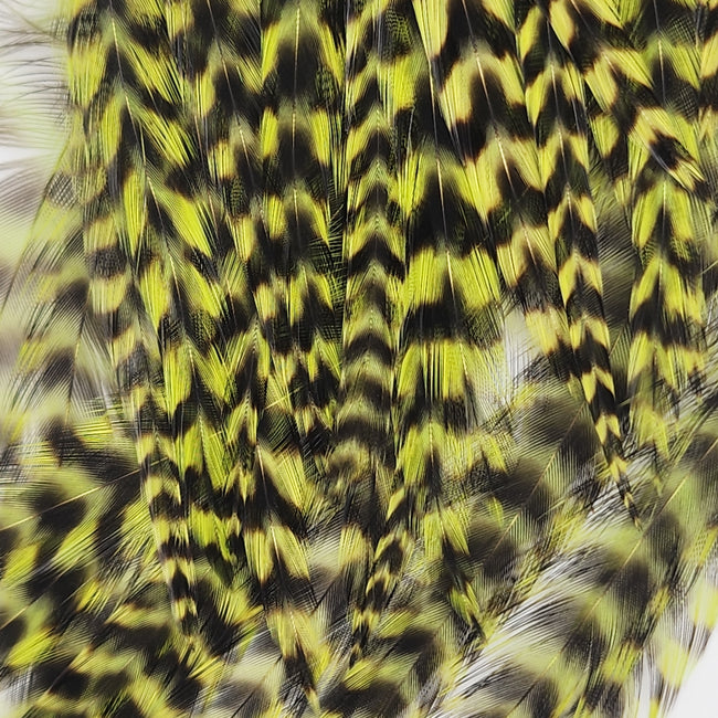 Hackle Tarpon/Crab Pack