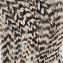 hackle-tarpon-crab-pack_GRIZ