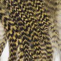 Hackle Tarpon/Crab Pack