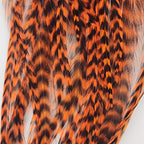 grizzly orange