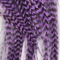 Hackle Tarpon/Crab Pack