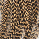 hackle-tarpon-crab-pack_GRTN