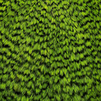 grizzly dyed chartreuse