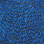 grizzly dyed kingfisher blue
