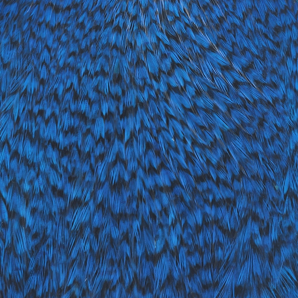 american-rooster-cape_GRKB