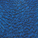 american-rooster-cape_GRKB