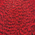 grizzly dyed red