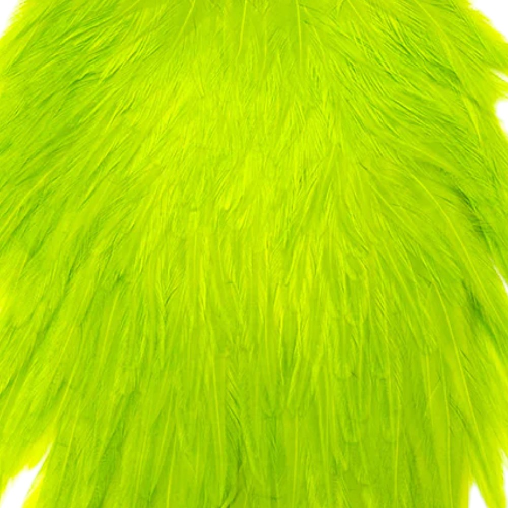 NM-630010-CHAT
