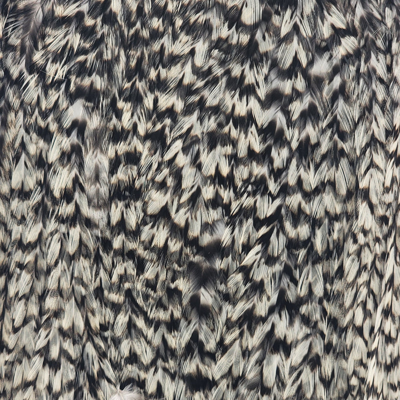 american-rooster-saddle_GRIZ