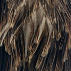 natural medium dun