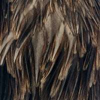 american-rooster-saddle_NMDU