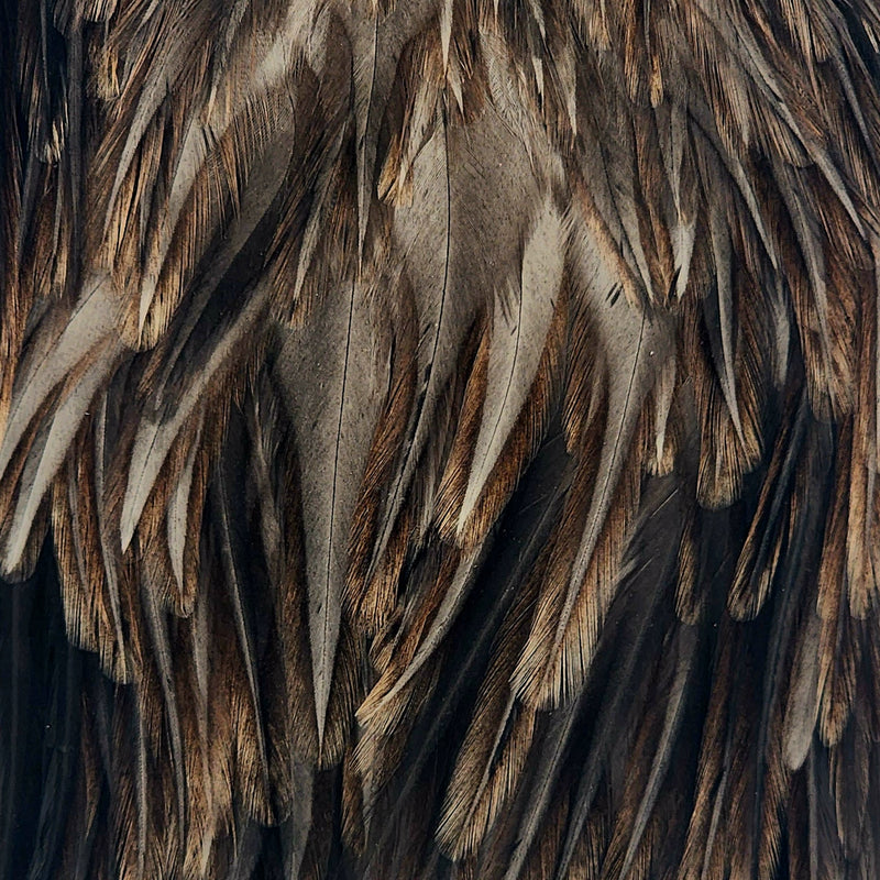 american-rooster-saddle_NMDU
