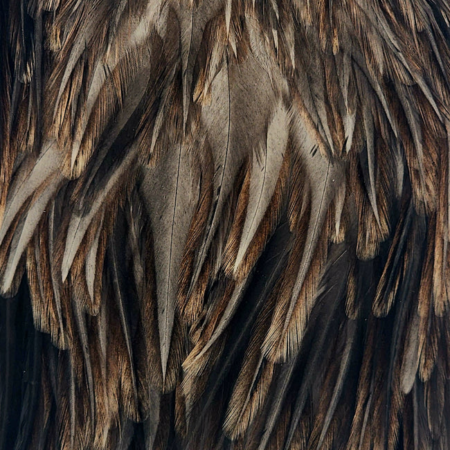 American Rooster Saddle