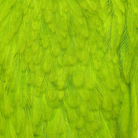 american-rooster-saddle_WHCH