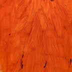white dyed orange