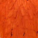 american-hen-cape_WHOR