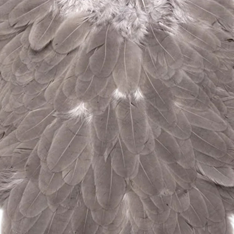 american-hen-saddle_MEDU
