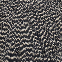 whiting-hen-cape_GRIZ